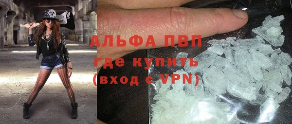 PSILOCYBIN Баксан