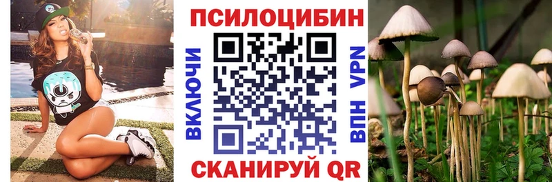 Галлюциногенные грибы Cubensis  купить наркотики цена  Кувандык 