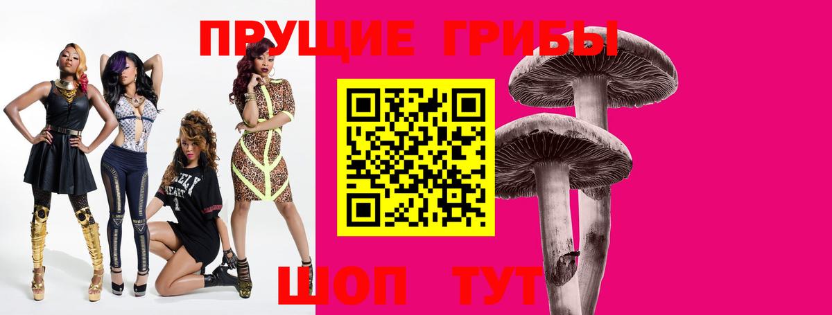 Псилоцибиновые грибы Cubensis Кувандык