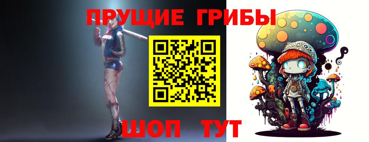 Галлюциногенные грибы прущие грибы  Вход с VPN  Кувандык 